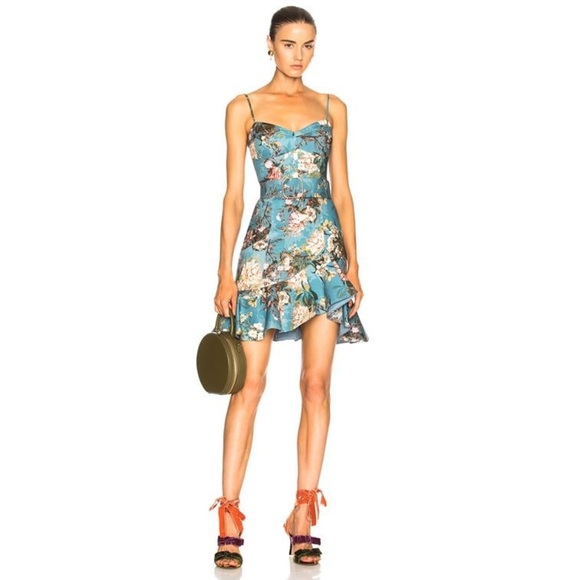 Nicholas Frill Dress - Picture 1 of 11